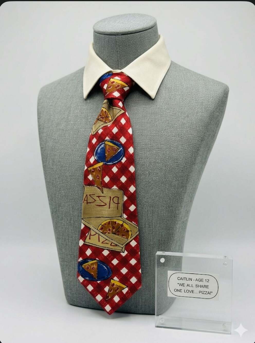 Save the Children Pizza Art Silk Tie Red Checkered Caitlin Age 12